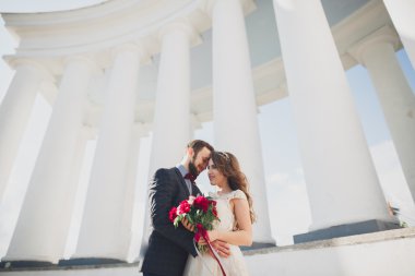 Güzel çift, gelin ve damat büyük beyaz sütun poz