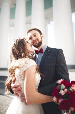 Güzel çift, gelin ve damat büyük beyaz sütun poz