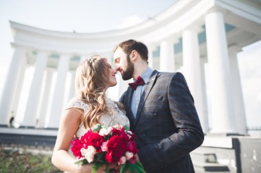 Güzel çift, gelin ve damat büyük beyaz sütun poz