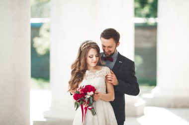 Güzel çift, gelin ve damat büyük beyaz sütun poz