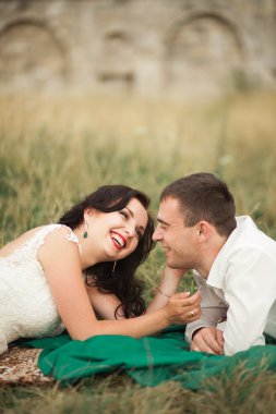 Mutlu evlilik çift yaz saati, yeşil çim üzerinde yalan