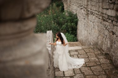 Muhteşem romantik zarif stil güzel beyaz gelin arka planda antik barok kalesinde