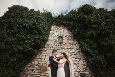 Onların düğün günü bitkiler çalılar ağaçlar güzel duvara yakın poz muhteşem yeni evli