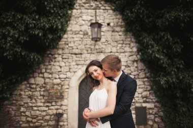 Onların düğün günü bitkiler çalılar ağaçlar güzel duvara yakın poz muhteşem yeni evli