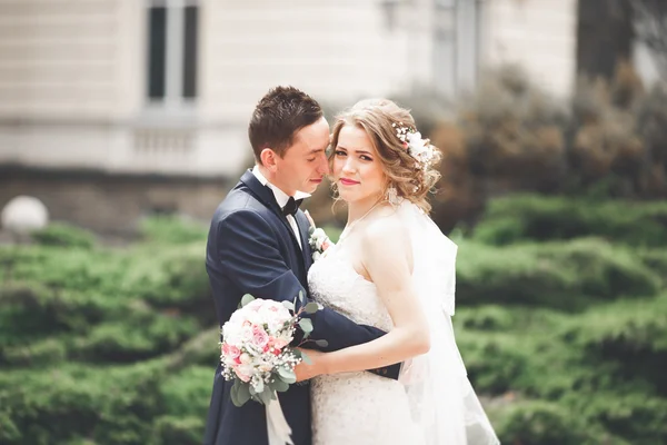 Hochzeitspaar steht und küsst sich in den Straßen der Altstadt — Stockfoto