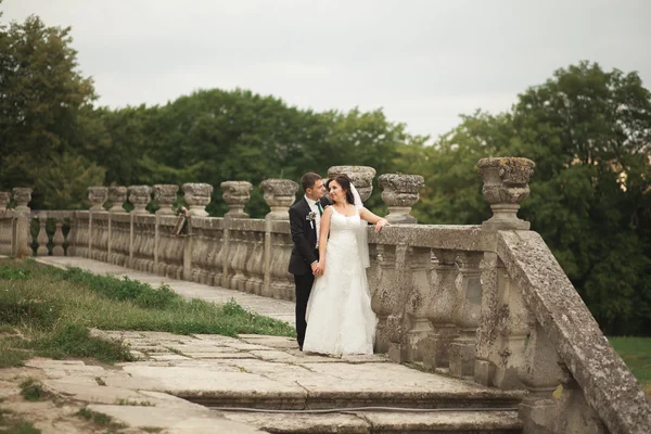 Feliz boda pareja abrazos y besos en el fondo viejo castillo — Foto de Stock