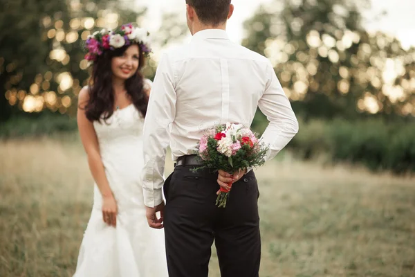 Belo casal de casamento no parque. beijar e abraçar uns aos outros — Fotografia de Stock