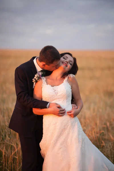 Güzel romantik bir çift yeni evliler gün batımında parkta sarılıyorlar. — Stok fotoğraf