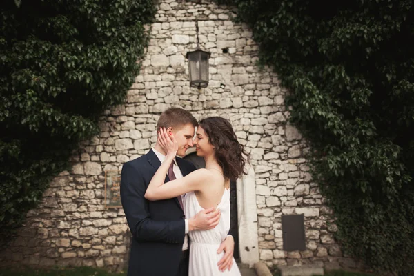 Splendido sposo posa vicino a un bellissimo muro di piante cespugli alberi nel loro giorno del matrimonio — Foto Stock