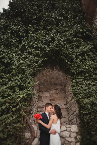 Pár elegáns szép esküvő, a menyasszony és a vőlegény pózol egy fal, a bokrok közelében park — Stock Fotó