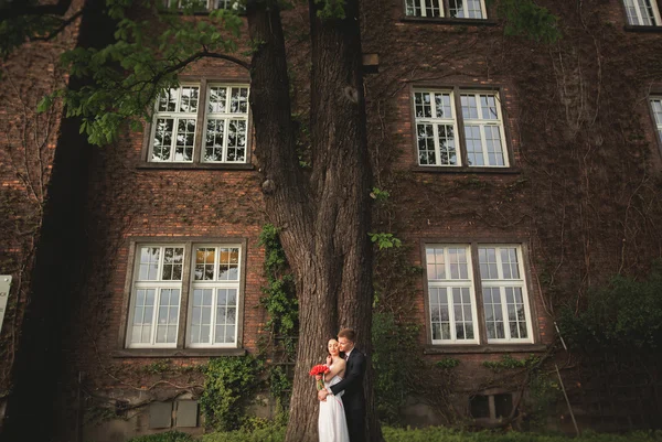 Przepiękny newlywed pozowanie w pobliżu wall piękne drzew krzewów roślin w ich ślubu — Zdjęcie stockowe