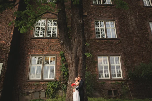 Superbe jeune marié posant près de beau mur de plantes buissons arbres dans leur jour de mariage — Photo