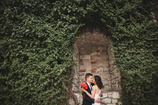 Elegante mooie bruidspaar, bruid en bruidegom poseren in park in de buurt van een muur van struiken — Stockfoto