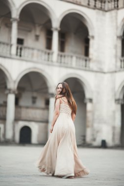 Güzel kız modeli sütunları yakınındaki eski kale poz uzun saçlı. Krakow Vavel