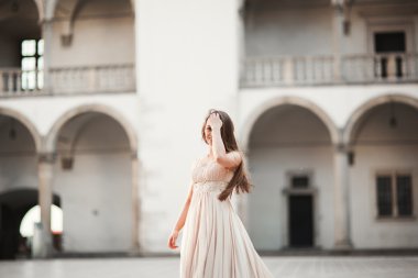 Güzel kız modeli sütunları yakınındaki eski kale poz uzun saçlı. Krakow Vavel