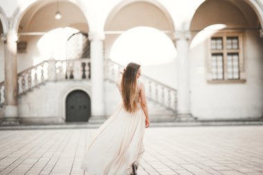 Güzel kız modeli sütunları yakınındaki eski kale poz uzun saçlı. Krakow Vavel