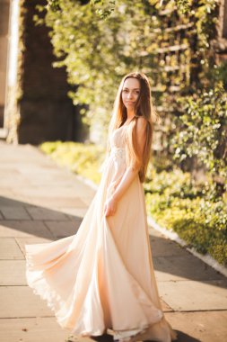 Uzun elbise dışında onun zaman içinde park günbatımı geçmiş zevk çekici genç kadın