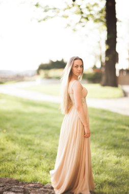 Uzun elbise dışında onun zaman içinde park günbatımı geçmiş zevk çekici genç kadın