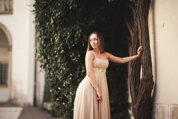 Hermosa chica con el pelo largo posando cerca del árbol en vavel Cracovia —  Fotos de Stock