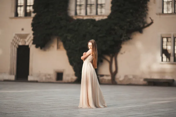 Hermosa chica, modelo con el pelo largo posando en el viejo castillo cerca de columnas. Cracovia Vavel — Foto de Stock