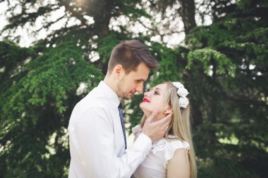 Şık güzel mutlu düğün çift öpüşme ve Botanik Bahçesi içinde kucaklayan
