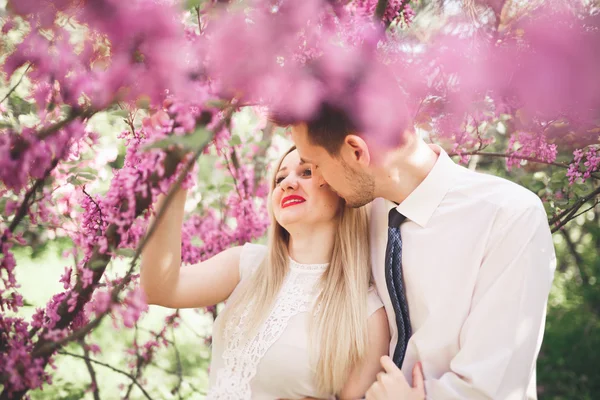 Junges schönes Paar küsst und umarmt sich in der Nähe blühender Bäume im Sommerpark — Stockfoto