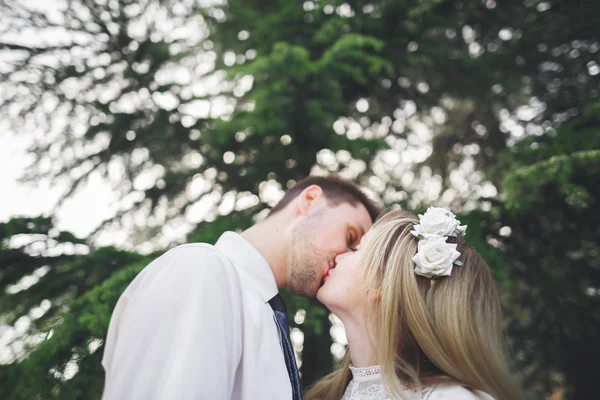 Stylish beautiful happy wedding couple kissing and embracing in Botanical Garden — Stock Photo, Image