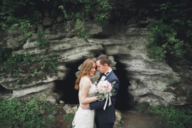 Mutlu düğün kaç sarılma ve birbirlerine arka plan güzel bitkiler kale üzerinde gülümseyen