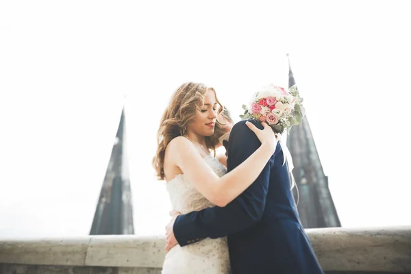 スタイリッシュな美しい結婚式のカップルキスと抱擁上の背景パノラマビューの旧市街 — ストック写真