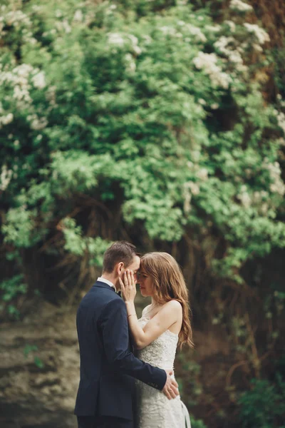 幸せな結婚式のカップルを抱き締めると城の背景の豪華な植物をお互いに笑みを浮かべて — ストック写真