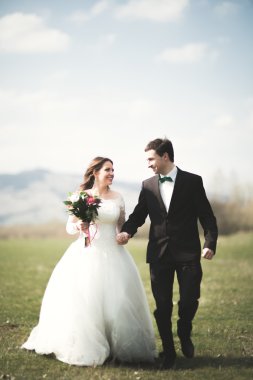 Güzel düğün çift, Gelin, poz ve yüksek Dağları arka planı alanında yürüme damat