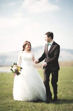 Güzel düğün çift, Gelin, poz ve yüksek Dağları arka planı alanında yürüme damat