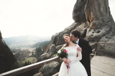 Mutlu evlilik çift, gelin ve damat kayalar güzel manzaralı yakınındaki poz