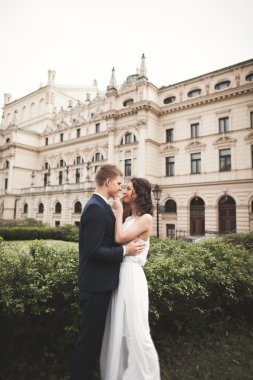 Güzel düğün çift, Gelin, damat öpüşme ve tiyatro arka planı sarılma