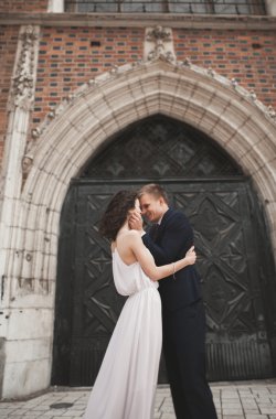 Muhteşem düğün çift, Gelin, damat yakınındaki eski kapısı bina poz