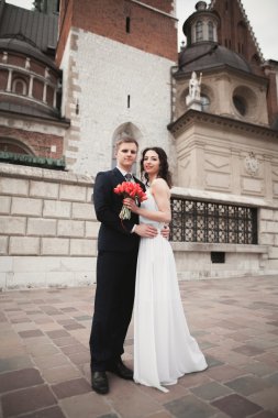 Evlilik çift, gelin ve damat bir kilise Krakow yakınındaki yürüyüş