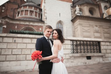 Evlilik çift, gelin ve damat bir kilise Krakow yakınındaki yürüyüş