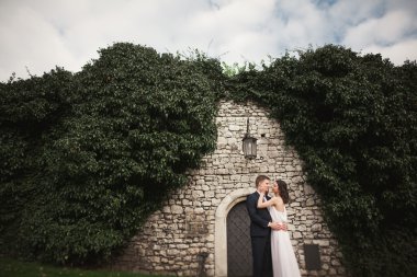 Zarif güzel düğün çift, gelin ve damat çalılar duvarına yakın park poz