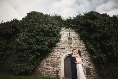 Onların düğün günü bitkiler çalılar ağaçlar güzel duvara yakın poz muhteşem yeni evli