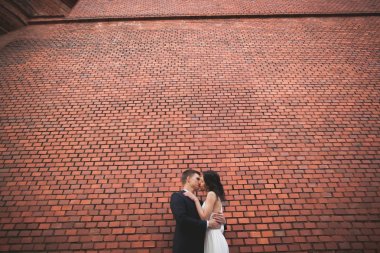 Harika lüks Düğün çifti büyük duvara yakın poz