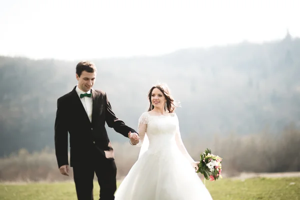 Красива весільна пара, наречена, позує і ходить по полю на тлі високих гір — стокове фото