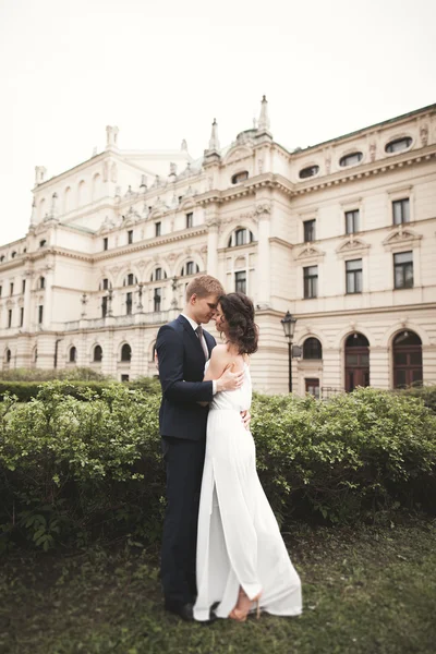 美しい結婚式のカップル、花嫁、新郎キスしてハグを劇場の背景 — ストック写真