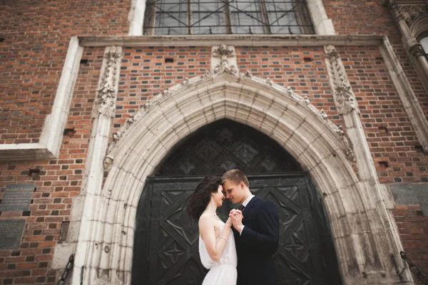 Nádherný Svatební pár, nevěsta, ženich pózuje u staré brány budova — Stock fotografie