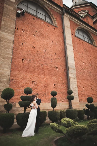 Stijlvolle Loving bruiloft paar zoenen en knuffelen in park tegen de achtergrond van de grote muur — Stockfoto