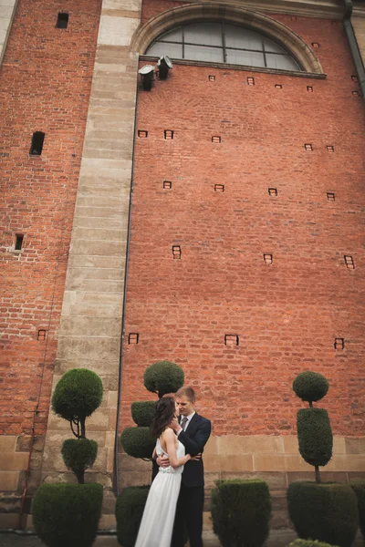 Stylish Loving wedding couple kissing and hugging in park against backdrop of the Great Wall — Stock Photo, Image