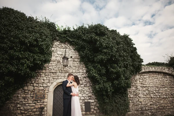 Onların düğün günü bitkiler çalılar ağaçlar güzel duvara yakın poz muhteşem yeni evli — Stok fotoğraf