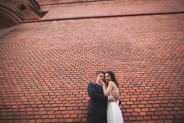 Meraviglioso matrimonio di lusso coppia posa vicino grande muro — Foto Stock