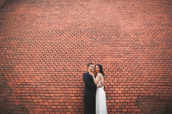 Maravillosa pareja de boda de lujo posando cerca de gran pared —  Fotos de Stock