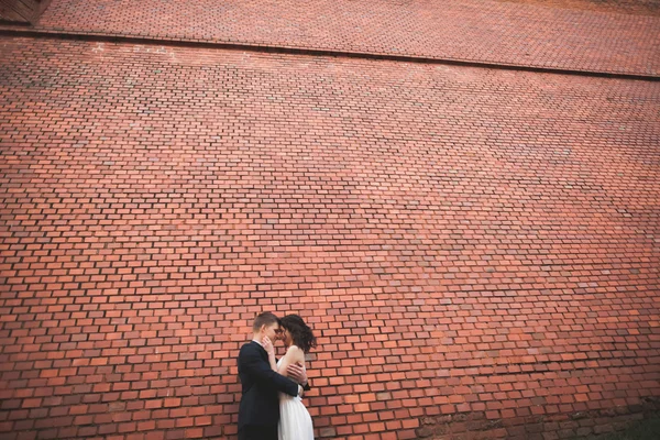 Maravillosa pareja de boda de lujo posando cerca de gran pared —  Fotos de Stock