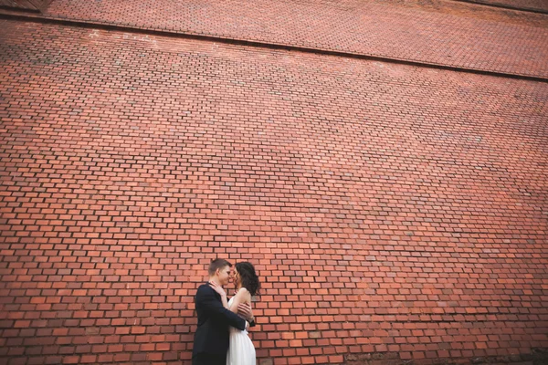 Maravillosa pareja de boda de lujo posando cerca de gran pared —  Fotos de Stock